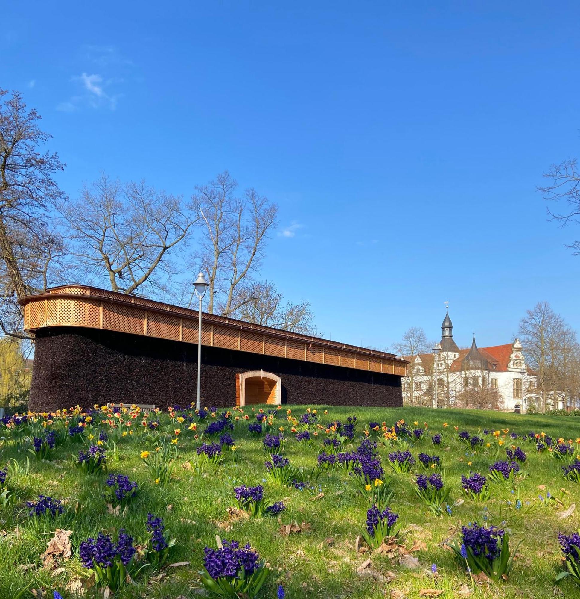 Kurhotel Bad Schmiedeberg Hotel 3*